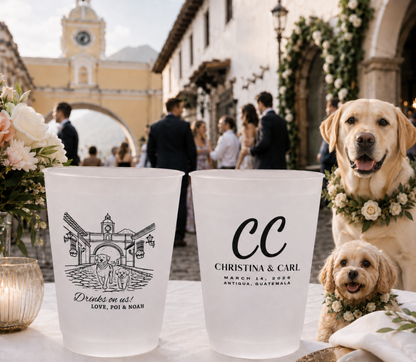 Custom destination wedding frosted cups with venue illustration, pet artwork, personalized names, and destination wedding details